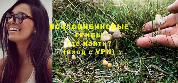 ешки Белоозёрский