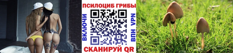 omg   Полтавская  Галлюциногенные грибы Magic Shrooms  хочу  